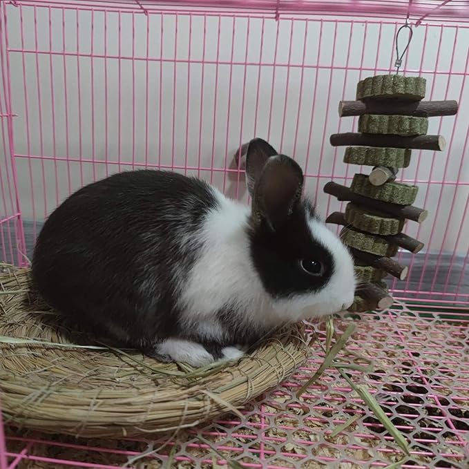 Rabbit Chew Toys for Teeth Grinding Bunny Treats 100% Natural Wood Timothy Grass Treats for Guinea Pigs Chinchillas Hamsters 8pcs