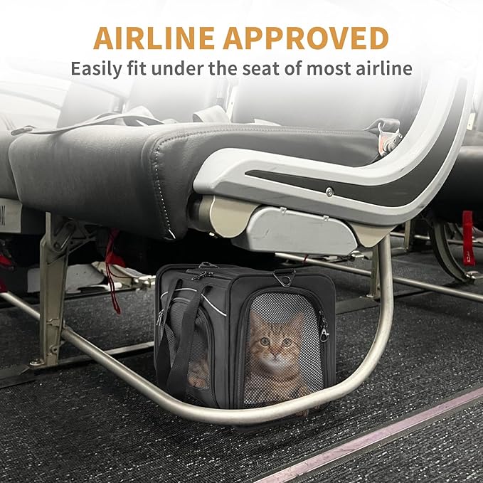 Petsfit Airline Approved Pet Carrier for Small Cats, 16.5x8.6x11 TSA Approved Carrier, with Removable Dual-Sided Padding (2-Way Placement) - Fits Under Most Airplane Seats, Escape Proof (Black)
