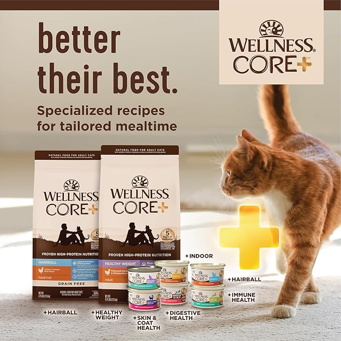 Wellness CORE+ Indoor Pate Adult Wet Cat Food, Natural, Protein-Rich, Grain Free, 3 Ounce, 12 Pack (Chicken & Chicken Liver)