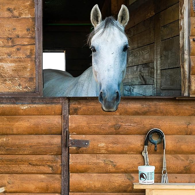 COAT DEFENSE Trouble Spot Drying Paste for Horses - Natural Equine Wound Care That Provides Safe & Effective Relief from Scratches, Sweet Itch, Summer Sores, Proud Flesh, Mud Fever, Girth Rot (24 Oz)