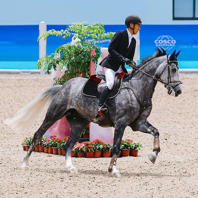 Woolous Dressage Saddle Pad, English Saddle Pad with Sheepskin Trim, Lambskin Wool Fleece Lining, Square Saddle Pad for Equestrian Riding, Comfortable & Shock Absorbing