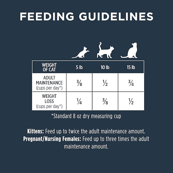 Instinct Raw Boost, Natural Dry Cat Food with Freeze Dried Pieces, High Protein, Grain Free Recipe - Real Salmon, 4.5 lb. Bag