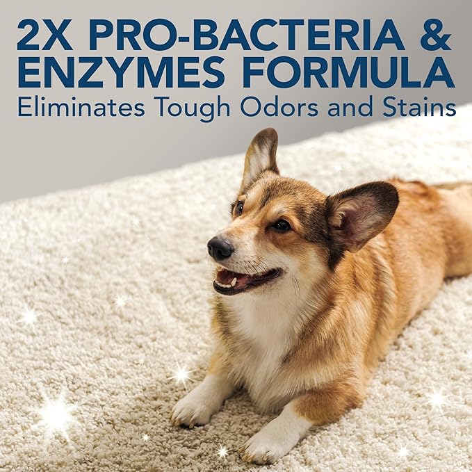 Simple Solution Stain & Odor Eliminator for Pets, Carpet Deodorizer, Enzyme Pet Odor Eliminator for Home, Stain Remover for Cat & Dog Pee, Urine Destroyer, Carpet Cleaner Spray, Gallon