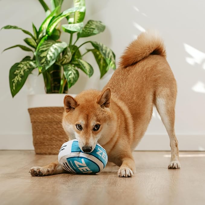 Zen Pupper Deckies Parody Dog Toy - Plush Squeaky and Crinkle Funny Dog Toy - Drool Mint