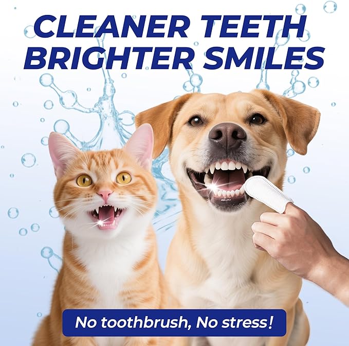 Wellix 100 Count Dog Teeth Cleaning Wipes for Dogs & Cats - Natural Formula Dental Care Finger Wipes Reduces Dog Plaque, Tartar & Bad Breath - No-Rinse Disposable Dog Dental Wipes