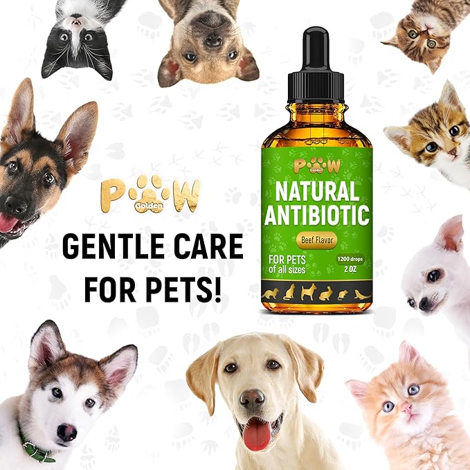 Antibiotics for Dogs | Antibiotics for Cats | Herbal Supplement for Digestion, Breathing, Urination | for Infections, Cough, Allergies | Beef Flavor & Cranberry | for All Pet Breeds | 2 Oz