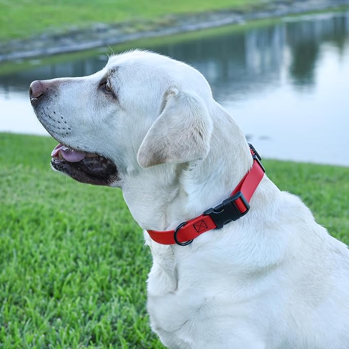 Dogline Biothane Waterproof Dog Collar with Quick Release Buckle Strong Coated Nylon Webbing with Odor- Proof for Easy Care Easy to Clean Fits Small Medium Large Dogs, Red 5/8" W 9-14" L