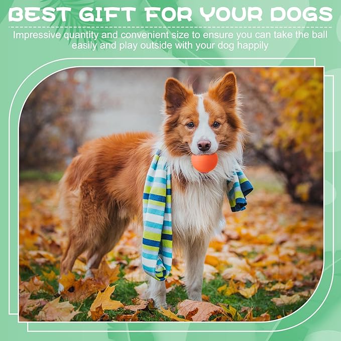 Shappy 24 Pieces Rubber Dog Tennis Balls for Dog Colorful Catching Pet Balls for Fetch Training 2.4 Inch Interactive Bounce and Floatable Toy for Park Beach