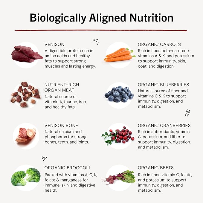 Stella & Chewy's Freeze-Dried Raw Dinner Patties - Venison Blend Recipe - High Protein Grain-Free Puppy & Dog Food - Perfect For Picky Eaters - 14 Oz