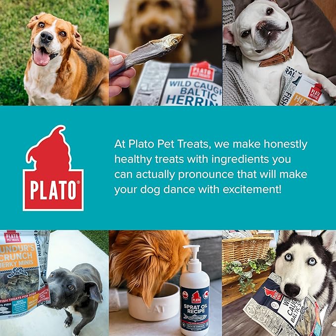 PLATO Hundur's Crunch Jerky Fingers 10oz, Natural