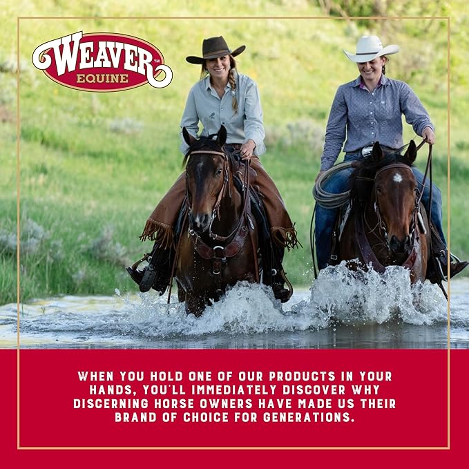 Weaver Equine Breakaway Horse Halter, Comfort Foam Padding, Adjustable Chin & Throat Snap Halters for Horses, Equine Tack,Average Size