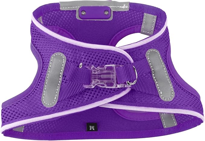 Light Up Dog Harness,Rechargeable LED Dog Harness for Small Medium Large Dogs,Reflective Lighted Safety Vest for Night Walking & Camping,Lightweight & Adjustable,Purple,L