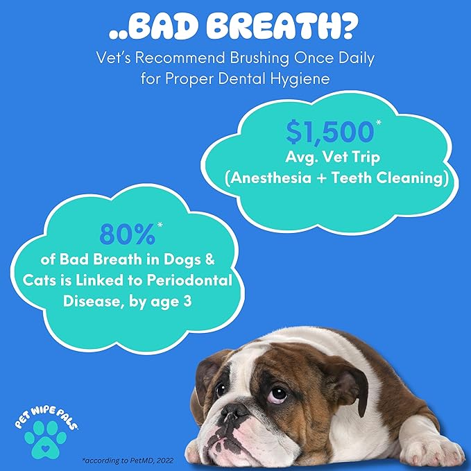 All-in-1 Dog Teeth Cleaning Wipes | Enzymatic Whitening + Premium Scrubbing Beads | No Mess, Pet Dental Wipes & Finger Tooth Brushing Kit | Plant-Based Dental Care for Cats & Dogs (60 Count)