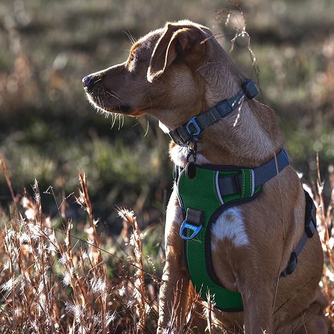 Embark Adventure Dog Harness, Reflective Trim No Pull Dog Harnesses for Small Sized Dogs - Military Grade Nylon, Front Clip with Gel Lined Handle.