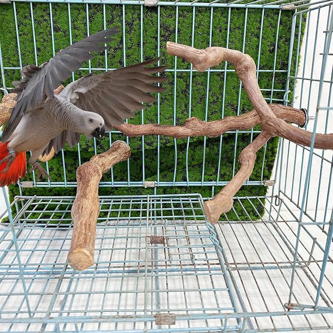 Allazone 4-Piece Bird Perch - Natural Grapevine Stick Swing Chewing Toys for Parrot Cages, Cockatiels, Parakeets, Finches