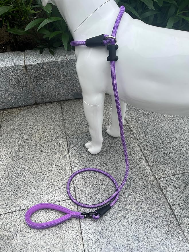 Slip Lead Dog Leash,Strong Nylon Rope Leash and Padded Handle,No Pull Outdoor Walking Training Lead for Small Medium Large Dogs (Purple, 1/2"×6ft)