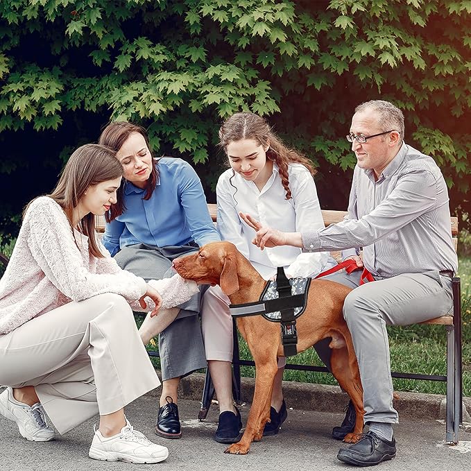 Dogline Dog Harness, Reflective No-Pull Adjustable Vest with Handle for Walking, Training, Breathable, No - Choke Harness for Small, Medium or Large Dogs Room for Patches Girth 22"-28" in Urban Camo