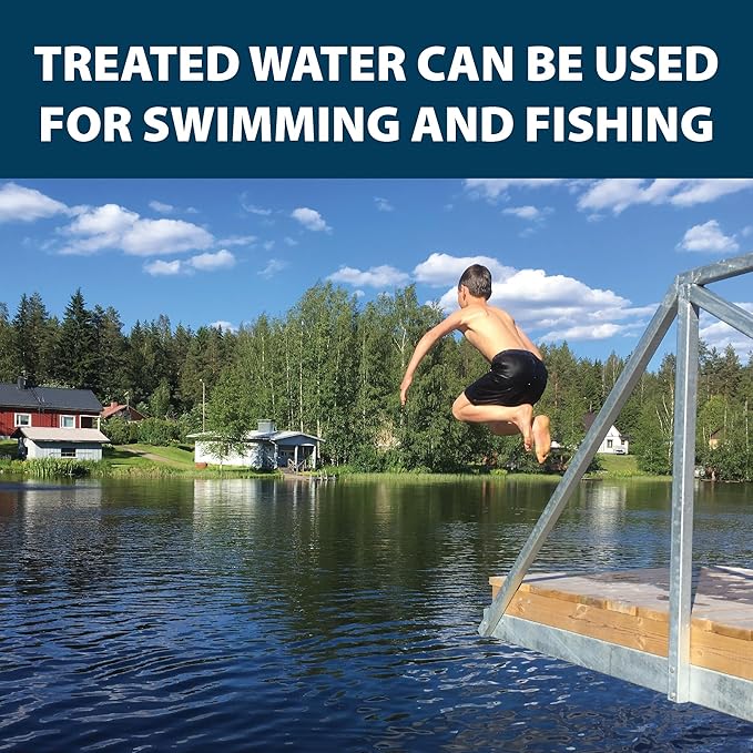 Airmax Black DyeMond Pond Dye 4X Concentrate for Outdoor Ponds & Lakes, Natural Pond Colorant & Beauty Enhancer, Block Ultraviolet Rays, Fish, Bird & Livestock Safe, Easy Liquid Application, 1 Quart