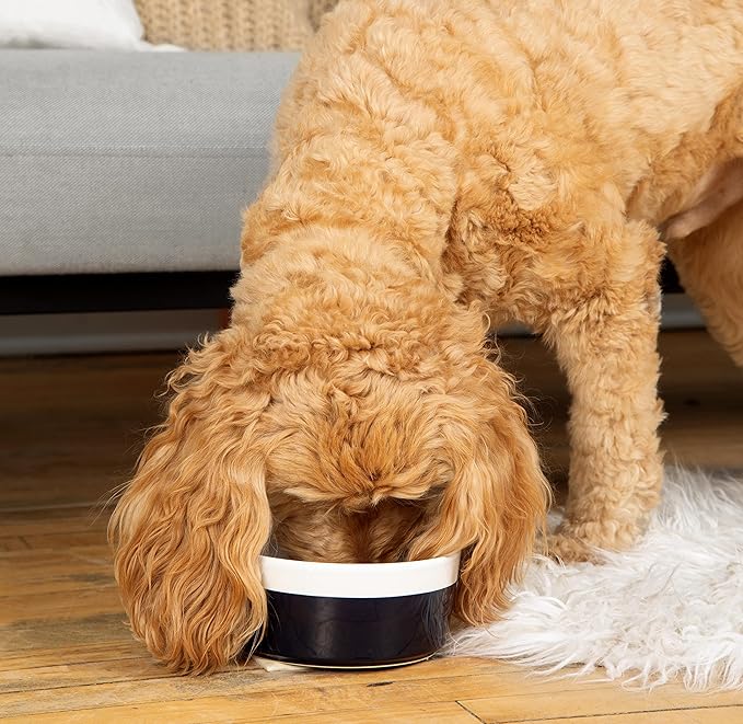 Waggo Dipper Ceramic Dog Bowl for Small and Large Breeds - Heavyweight and Durable Pet Food and Water Dish Crock, Dishwasher Safe, Modern (Medium, Cloud)