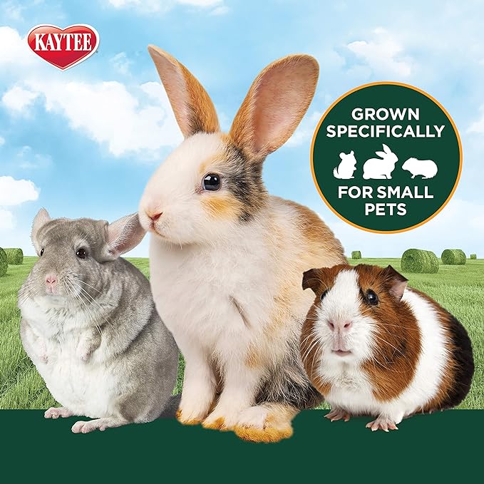 Kaytee All Natural Timothy Hay Plus Mint for Guinea Pigs, Rabbits & Other Small Animals, 24 Ounce (Pack of 2)