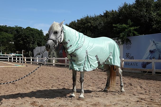 Horse Fly Sheet with Detachable Neck Cover & Belly Wrap, Adjustable Fly Sheet for Horses, Ventilated Airflow Mesh Equine Cooling Summer Flysheet Green 66