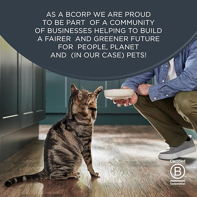 Reveal - Grain Free | Wet Canned Cat Food | 2.47oz - 24 Pack - Premium Nutrition, 100% Natural, No Additives, and Limited Ingredients (Tuna with Salmon in Gravy)