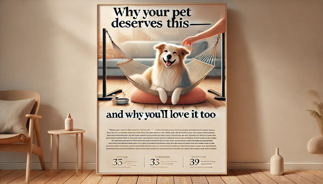 Why Your Pet Deserves This – And Why You’ll Love It Too