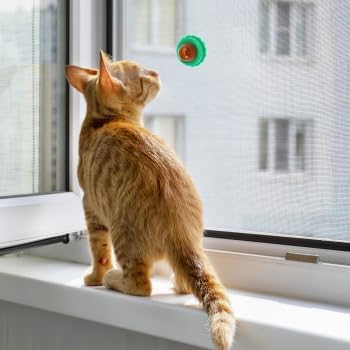 BESPORTBLE 10Pcs Catnip Balls Cat Catnip Ball Natural Licking Edible Wall Stick on Cat Licker Toy Pet Lollipop