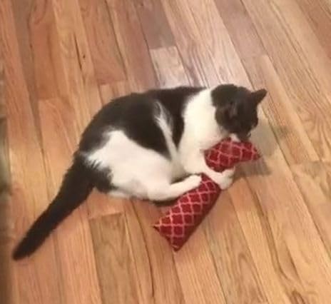 15" Catnip Cat Kicker Toys/Kitty Kick Sticks/Cat-Nip Kick Sticks (Rose Red) (Kickers Filled with 1 oz Premium Canadian Catnip)