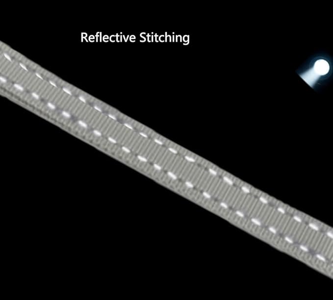 Hands Free Dog Leash for Large Medium Dogs Heavy Duty Bungee Reflective Adjustable Waist Leashes for Walking Running with Car Buckle 4-6FT (Grey)