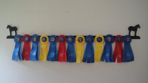Showoff Black 14ga Steel Award Rack - Horse, Wall Mount or Stall Mount, USA Made