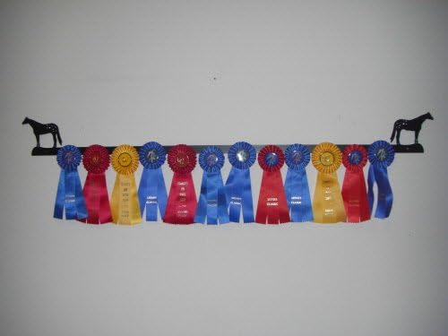 Showoff Black 14ga Steel Award Rack - Horse, Wall Mount or Stall Mount, USA Made