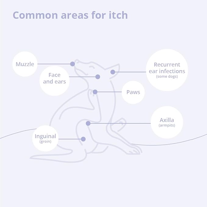 4 Spray Conditioner for Dogs, Cats and Horses, 8 oz