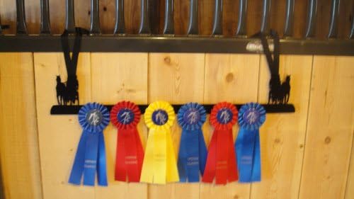 Showoff Black 14ga Steel Award Rack - Horse, Wall Mount or Stall Mount, USA Made
