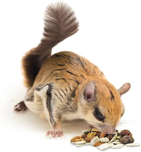 Squirrel Complete (1.75 lb.) - Healthy Natural Food - Nutritionally Complete Diet for Pet & Captive Squirrels - Ground, Grey, and Flying Squirrels, & Chipmunks