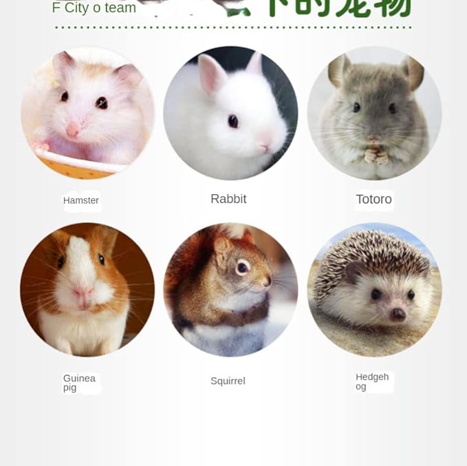 Hamster Food Dried Vegetables for Small Rodents Pet Snacks