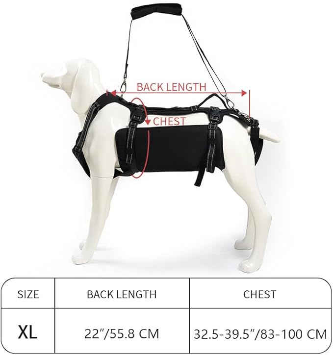 Coodeo Dog Lift Harness, Support & Recovery Sling, Pet Rehabilitation Lifts Vest Adjustable Breathable Straps for Old, Disabled, Joint Injuries, Arthritis, Paralysis Dogs Walk (Black,XL)