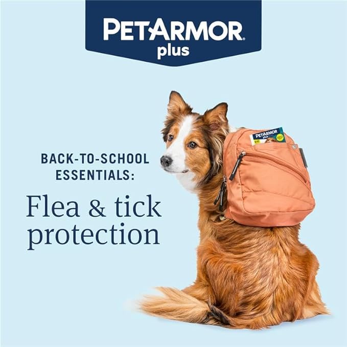 PetArmor Plus Flea and Tick Prevention for Dogs, Dog Flea and Tick Treatment, 12 Doses, Waterproof Topical, Fast Acting, Small Dogs (5-22 lbs)