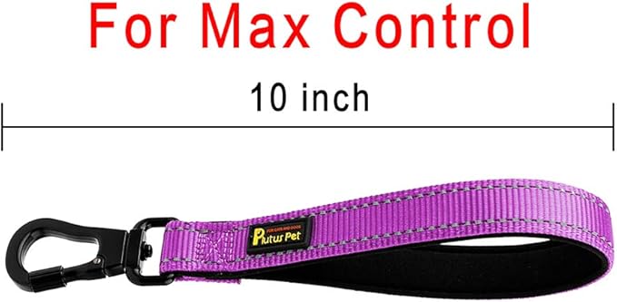 PLUTUS PET 10” Short Dog Leash, Reflective Nylon Padded Handle, Strong Traffic Leash with Carabiner Clip, Perfect for Large or Medium Dogs（10”，Purple