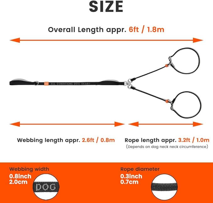 Howgo Double Slip Leash Slip Lead with Two Handles| Dual Dog Slip Lead for 2 Dogs,360° Swivel No Tangle | Dog Training Collar | Double Clip Leash Coupler and Splitter (Black, 6FT)