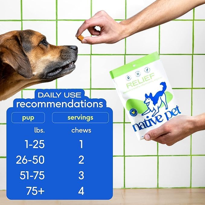 Native Pet Pain Relief for Dogs - Collagen for Dogs Promotes Joint Health, Reduce Inflammation & Stiffness - Senior Pup Joint Supplement - Natural Pain Reliever for Active & Aging Pets - 30 Chews