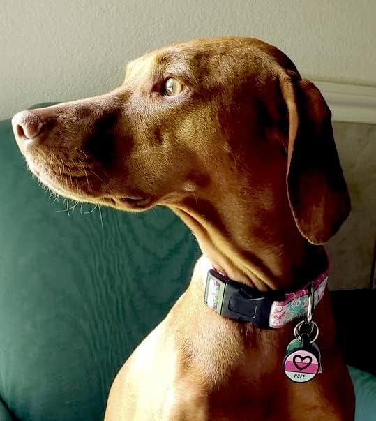 LYP Original Soundless Pet ID Tags | Custom Dog Tags Personalized for Pets | Durable Silicone Deep Engraved Dog Tag | No More Jingling | Pink Heart