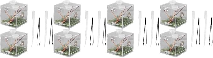 balacoo 8 Sets Jumping Spider Enclosure: Spider Cage Habitat Jumping Terrarium Micro Scorpion Droppers Reptile Hide Clear Enclosure Breeding Box Case with Breeding Tweezers
