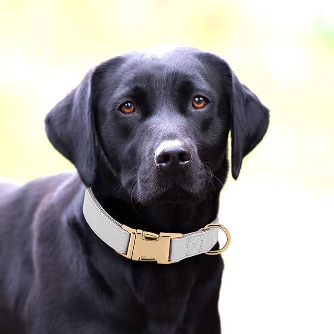 PET ARTIST Soft PU Leather Dog Collar for Large Dogs, Bright & Classic Nylon Padded Durable Dog Collar Leather with Quick Release Metal Buckle Adjustable for Male Dogs, Neck Fit 16-27"