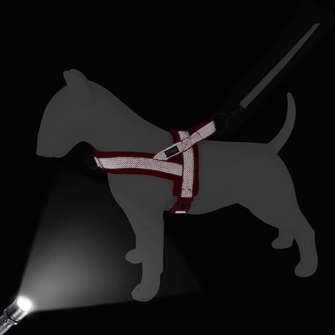 Didog No Pull Dog Harness with Breathable Mesh Padded, Full Reflective & Quick Fit Adjustable Vest Harness, Easy for Training Walking for Small & Medium and Large Dogs (Red, L:Chest 26-32")