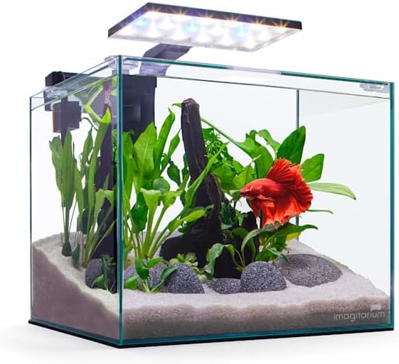 Imagitarium Glass Betta Aquarium Kit 5 Gallons