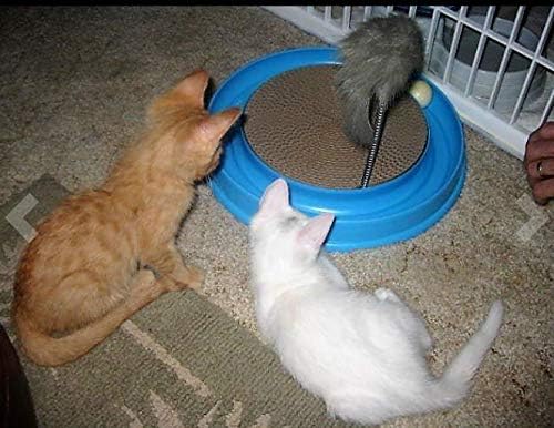 AUOON Cat Scratcher Toy - Cat Scratch Pad with Cat Toy Ball Track and Plush Mouse Toy for Indoor Cats and Kittens (Blue)