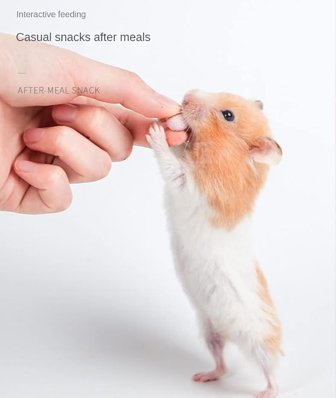 Hamster Food Pet Snacks for Small Rodents Yogurt Sandwich