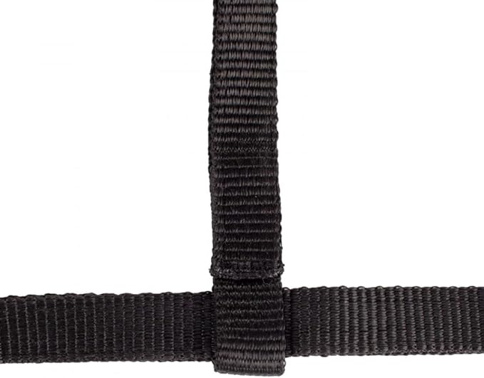 HORZE Adjustable Nylon Horse Halter for Foals, Colts, Fillies, Mini Horse Halter | Comfortable Small Horse Halter with Sturdy Buckles - Black - Foal