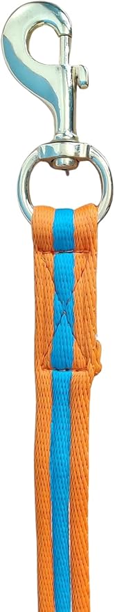 Soft Padded Lunge Line Rein Lead for Horses 27ft Looped Handle Swivel Clip (Orange/Turquoise)